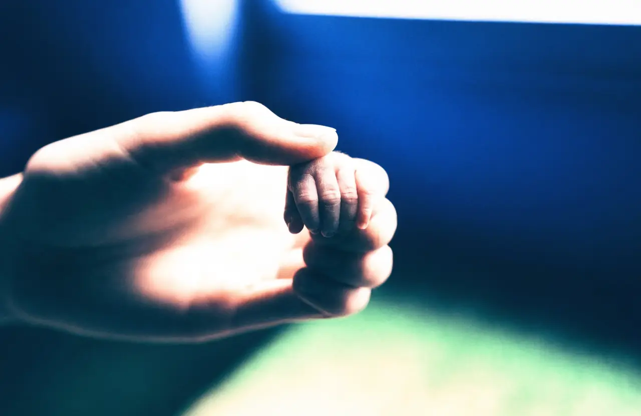 Fertilité et FIV